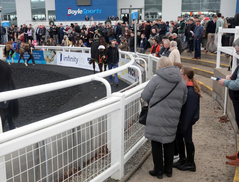 Your guide to day two of the Limerick Christmas Racing Festival December 27