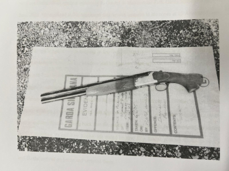 Brothers jailed for drug fuelled Limerick home shot gun shooting 