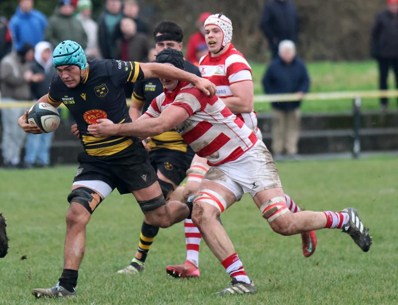 Two crucial Limerick derbies among weekend All-Ireland League rugby fixtures