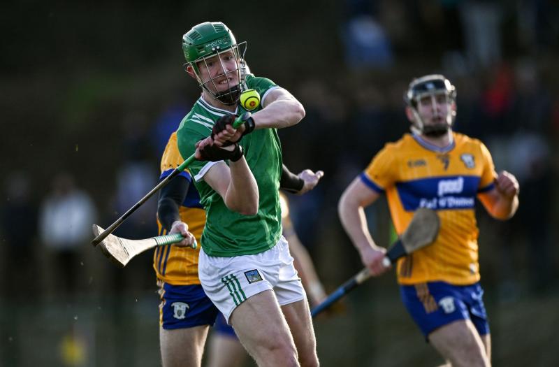 Limerick side to face Waterford in Munster Senior Hurling League final named