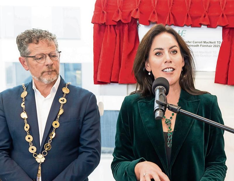 Limerick Mayor explores building modular homes on site of proposed hospital