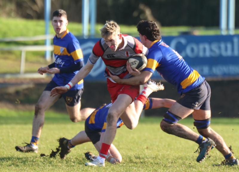 Five-try Glenstal Abbey advance in Munster Schools Boys Senior Cup after victory over Kinsale