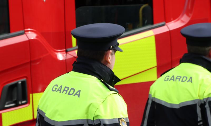 Car torched in early morning arson attack in Limerick housing estate 