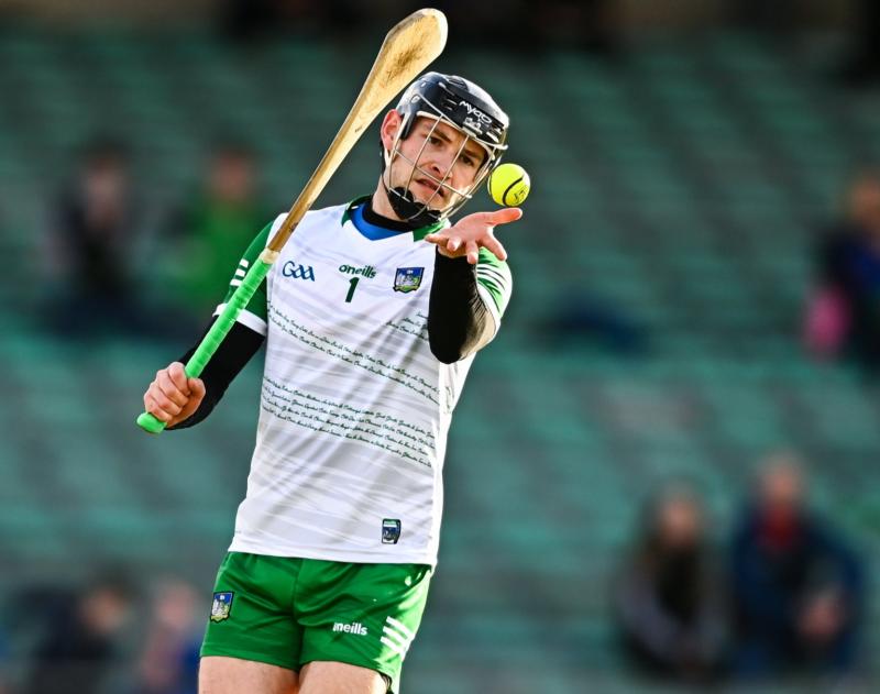 Former Limerick hurler takes up coaching role with Meath senior hurling team