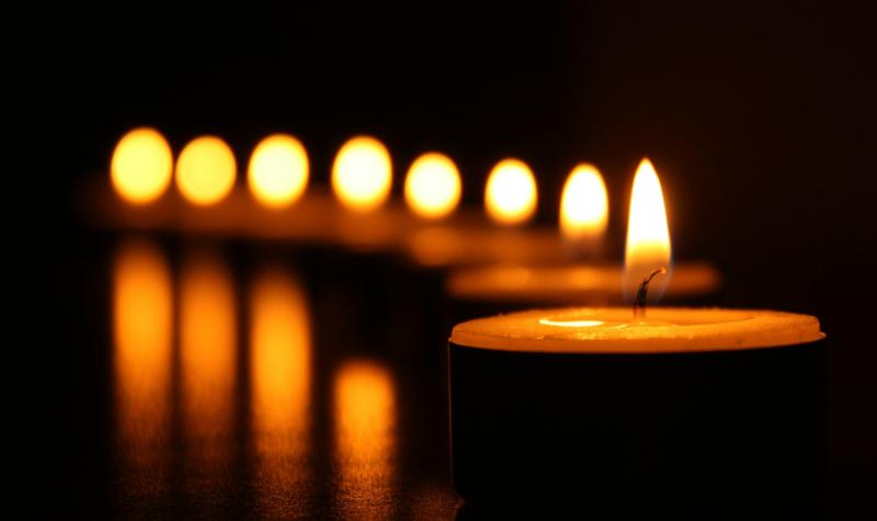 Farmer, 90s, dies in workplace accident while tending cattle on land in Limerick