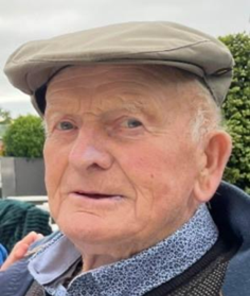 'Huge loss to the historical and literary world':  Tributes paid to farmer, 90s, attacked by cow in Limerick