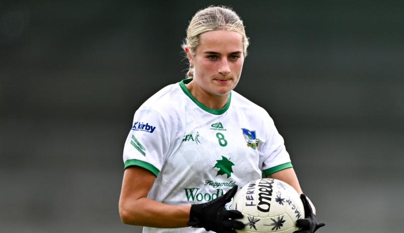 Limerick ladies football panel announced of 2026 National League campaign 
