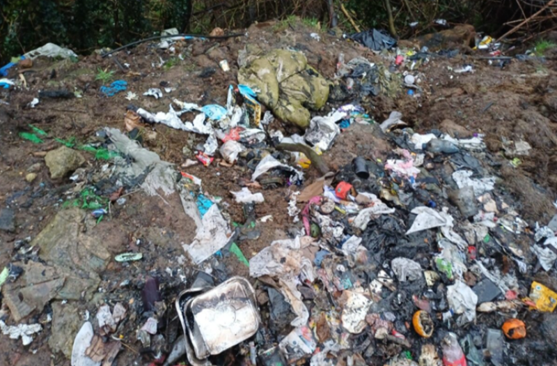 Judge hands down &euro;8,500 in fines in water pollution and dumping cases taken by Limerick Council