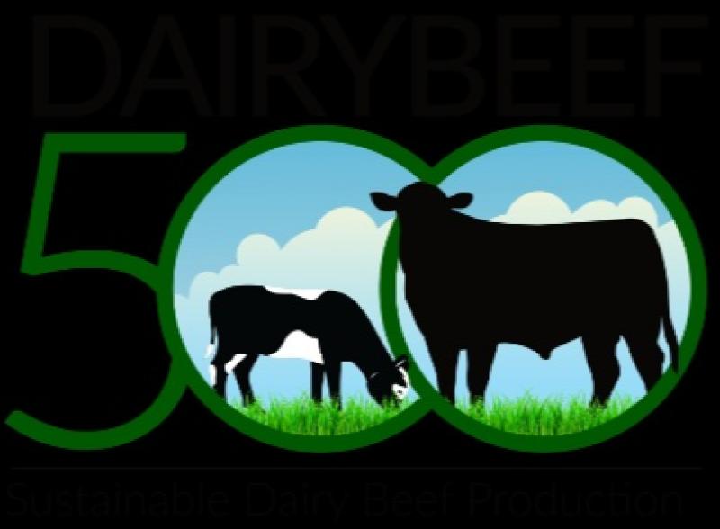 Positive mood at DairyBeef conference on close to Limerick-Tippeary border