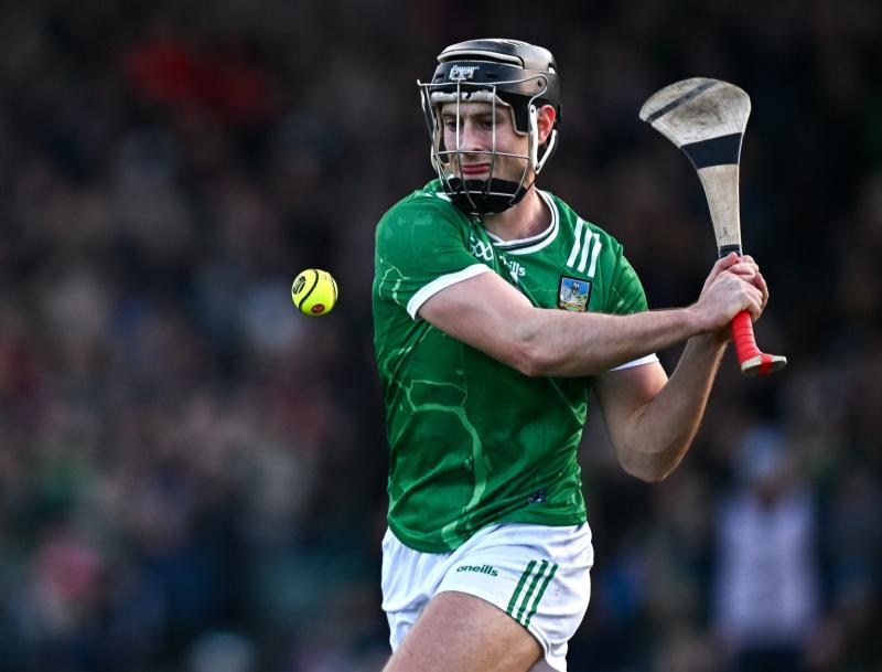 Limerick senior hurling panel announced for 2026 National League campaign 
