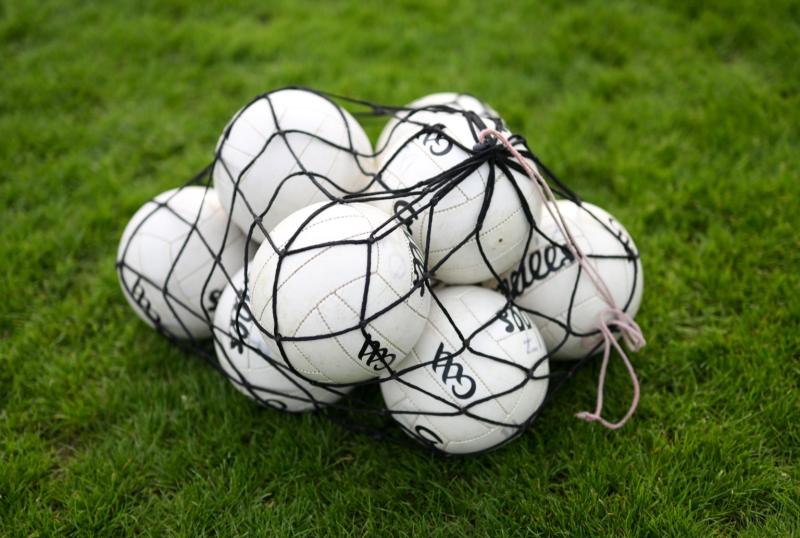 BREAKING: Limerick ladies football manager steps down 