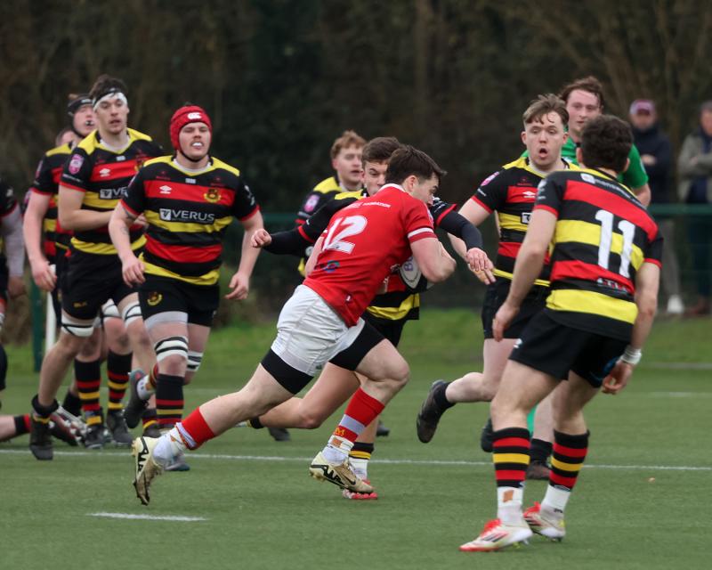 Limerick sides prepare for Round 13 of Energia All-Ireland league action 