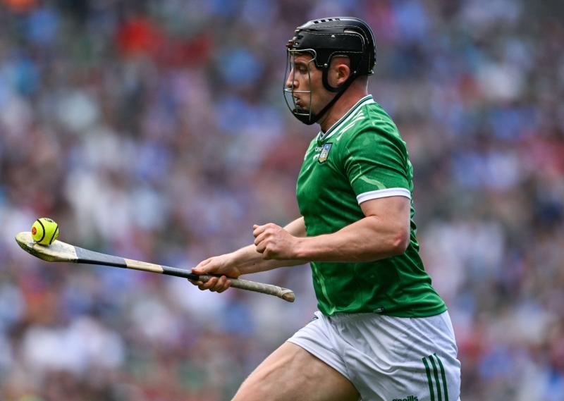 Two Limerick senior hurlers included in GAA.ie team of the Week 