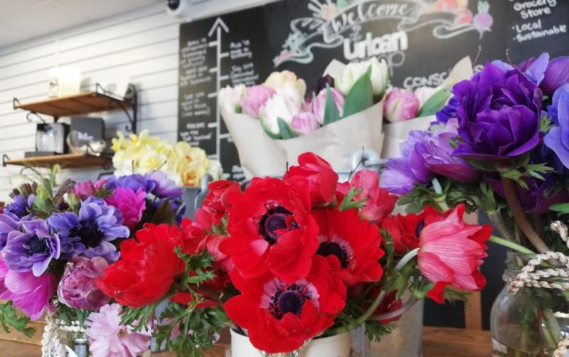 The Urban Co-operative - Loving the Land: As seen in the Feb&ndash;Mar Issue of Limerick Life