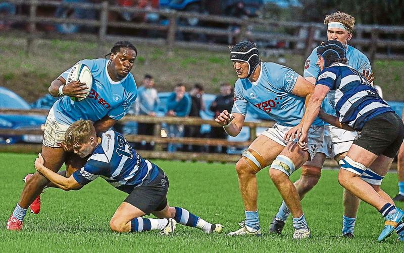 Two Limerick rugby clubs look to secure Munster Senior Cup final places 