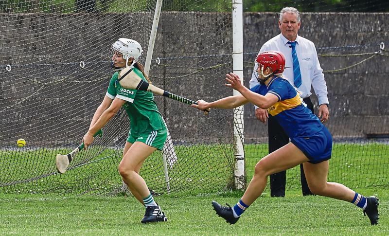 Limerick camogie side open league campaign at home to Down