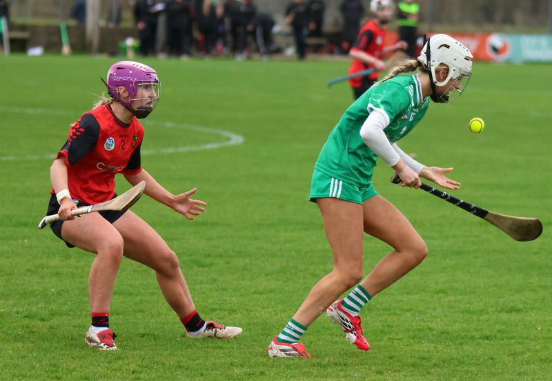 Limerick withstand Down comeback and tough conditions to win National Camogie League opener