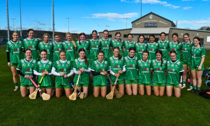 Action continues to come thick and fast for Limerick Camogie sides