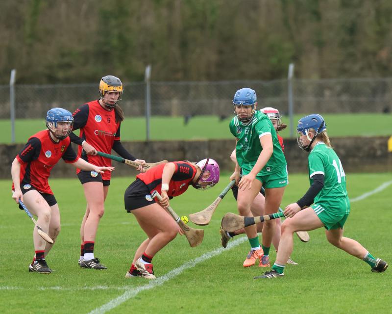 'We're delighted to get that first win' - Limerick Camogie manager Dave Deady on Down victory 