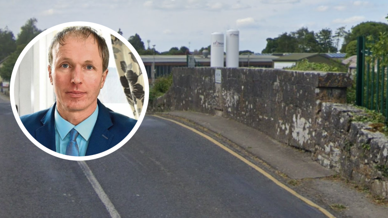 Calls for pedestrian bridge in busy Limerick town amid &lsquo;highly dangerous&rsquo; road