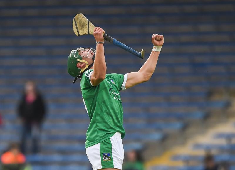 Limerick All-Ireland medallist makes hurling debut for Louth