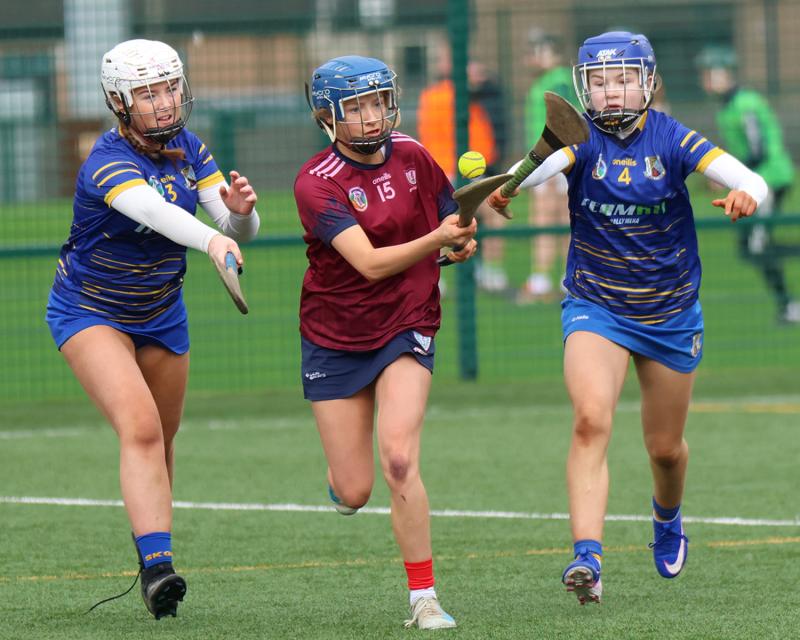 Limerick's Laurel Hill Secondary Scholl through to All-Ireland Camogie Final 