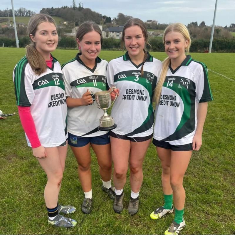 All-Ireland glory for SMI Newcastle West with Donal Burke Cup success