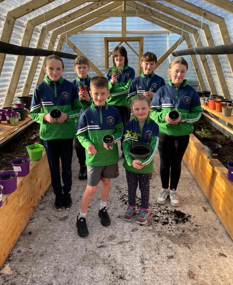 Limerick school launches new Community Biodiversity Action Plan