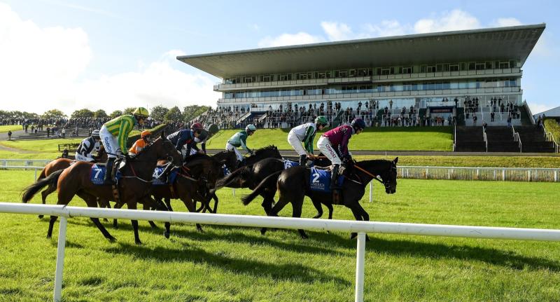 Limerick Racecourse set to host Irish Cheltenham Raceday Experience on March 12