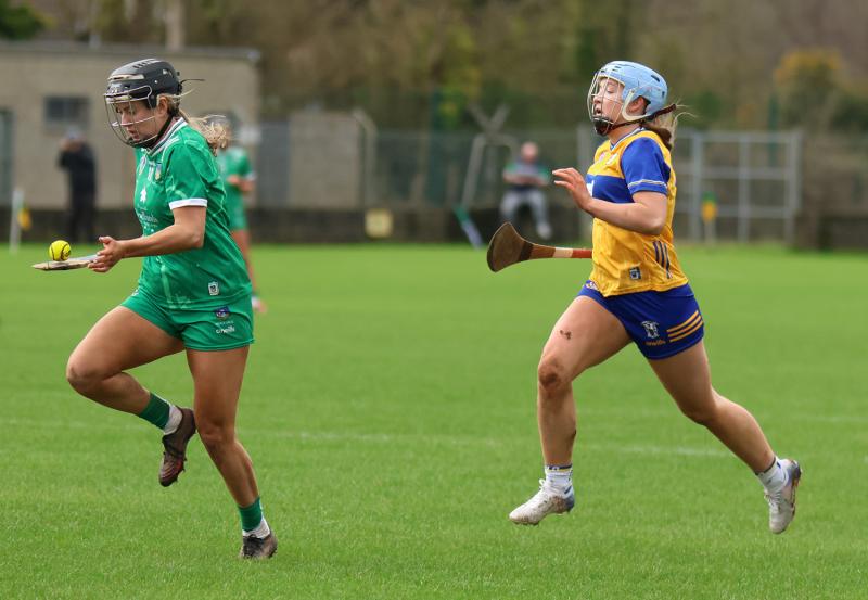 Battling Limerick undone by late Clare goal in National Camogie League