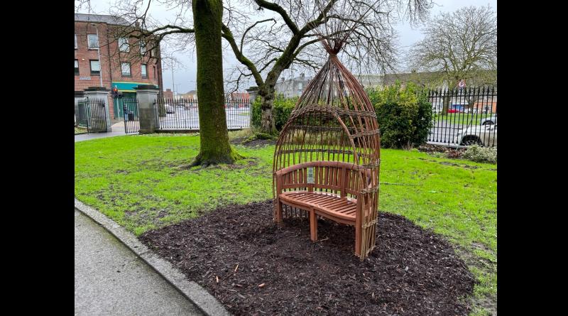 New willow artwork offers calming space in Limerick city park   