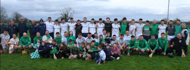 Limerick champions Ballybrown celebrate All-Ireland Junior 'B' hurling series final victory