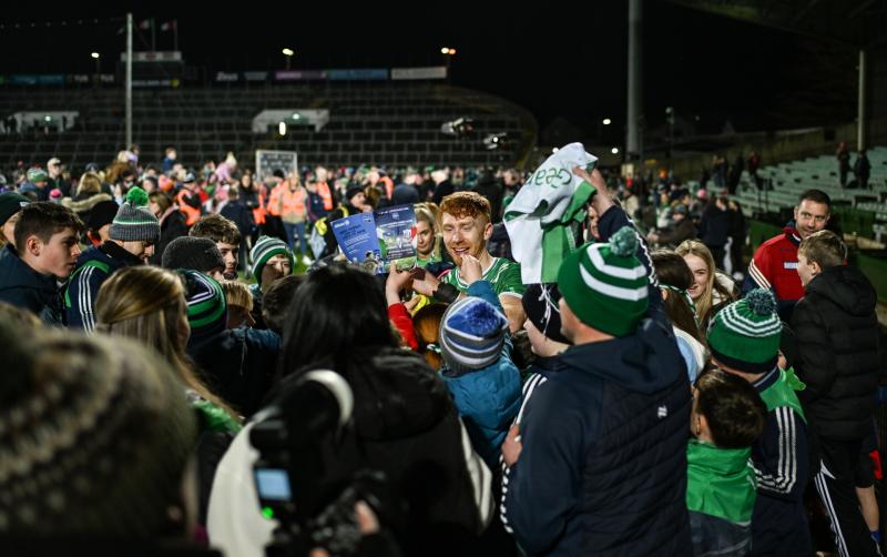 Four Limerick hurlers players named on GAA team of the week