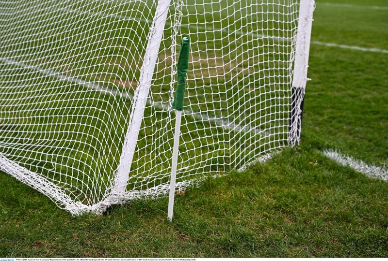 Limerick GAA fixtures: March 13-15