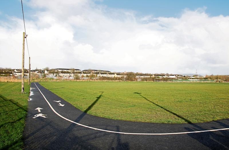 Crunch meeting to be held over construction of modular homes in Limerick park