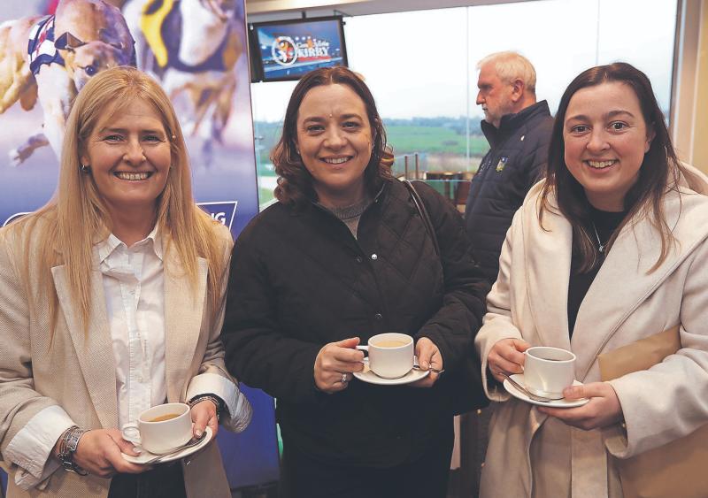 2026 Con and Annie Kirby Memorial launched at Limerick Greyhound Stadium