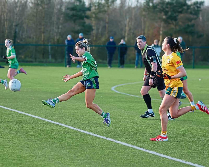 Limerick face two trips North to round off difficult Division 3 campaign