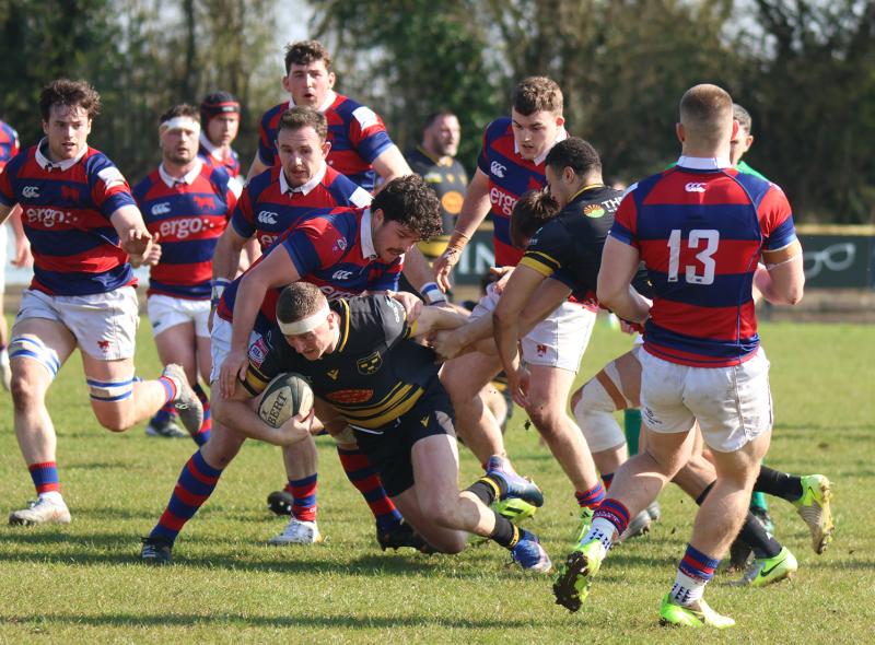 Four Limerick wins on dramatic Saturday of All-Ireland League action