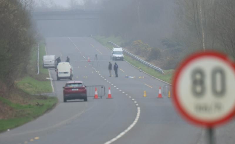 Gardai seek two vehicles 'travelling in convoy' after violent assault on Limerick  mum