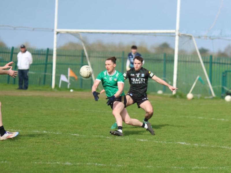 Limerick drop  back to Division 4 despite dramatic victory over Fermanagh
