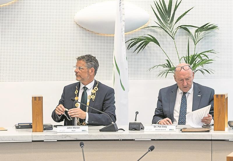 Physical altercation or &lsquo;robust exchange?&rsquo; Limerick Mayor and Dr Pat Daly dispute row at City Hall