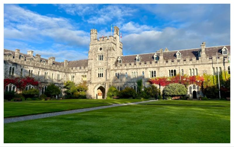 Meningitis case confirmed in Ireland as HSE issues public health update