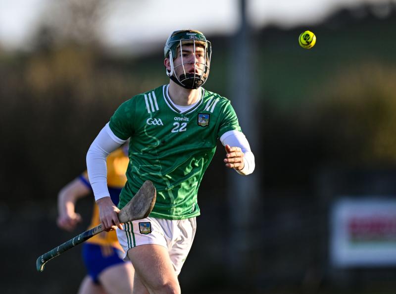 Limerick hoping to have Matthew Fitzgerald back for Munster U20 opener