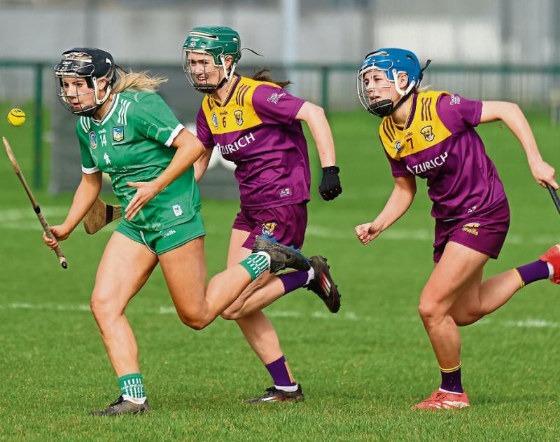 'A good experience for the girls': Limerick camogie set for P&aacute;irc U&iacute; Chaoimh clash