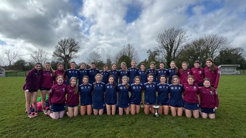 Limerick's Laurel Hill Secondary School enjoy stellar year of camogie success 