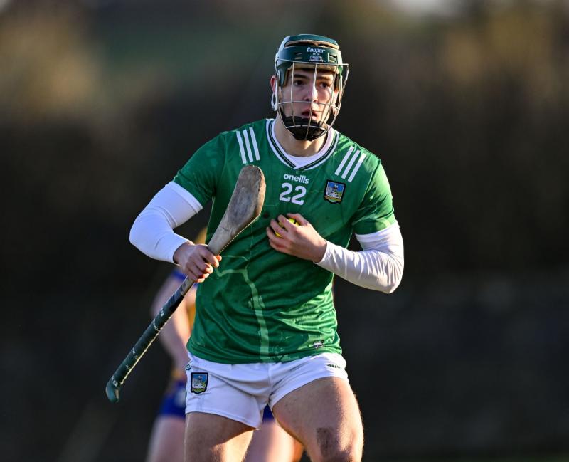 Senior duo named in Limerick U20 hurling team to play Cork in championship opener