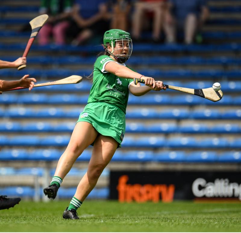 Limerick camogie player named Electric Ireland Third Level Rising Star Player of the Year
