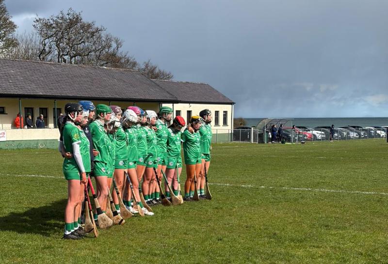 Success for Limerick U23 camogie side 'would be huge for the county'