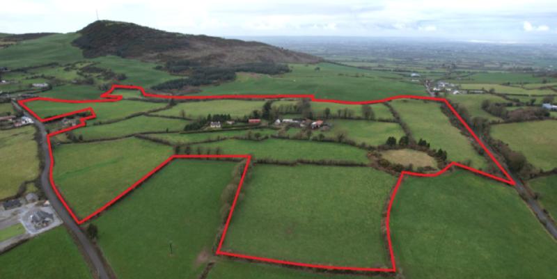 Residential farm extending to 46 acres in County Limerick sells at auction