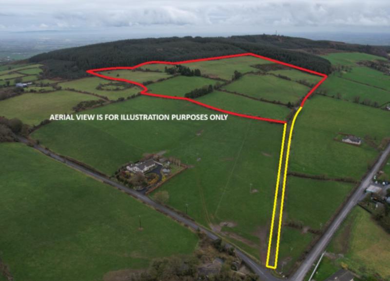 Disappointed underbidders at auction of 31 acre grassland farm in Limerick